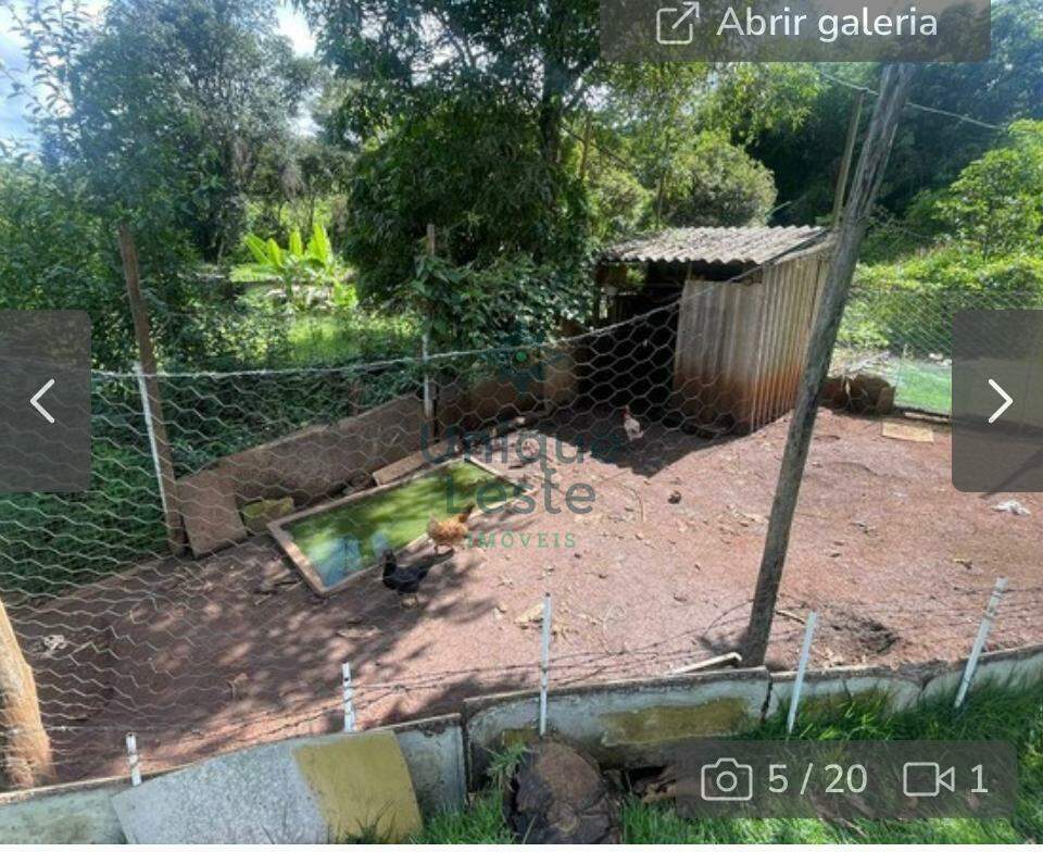 Fazenda à venda com 2 quartos, 1000m² - Foto 17