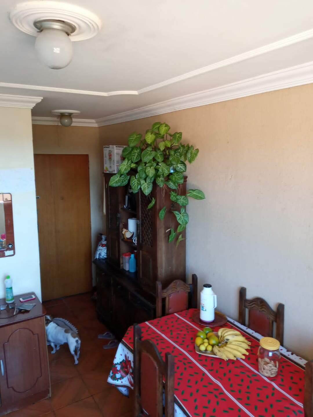 Apartamento à venda com 3 quartos, 52m² - Foto 2