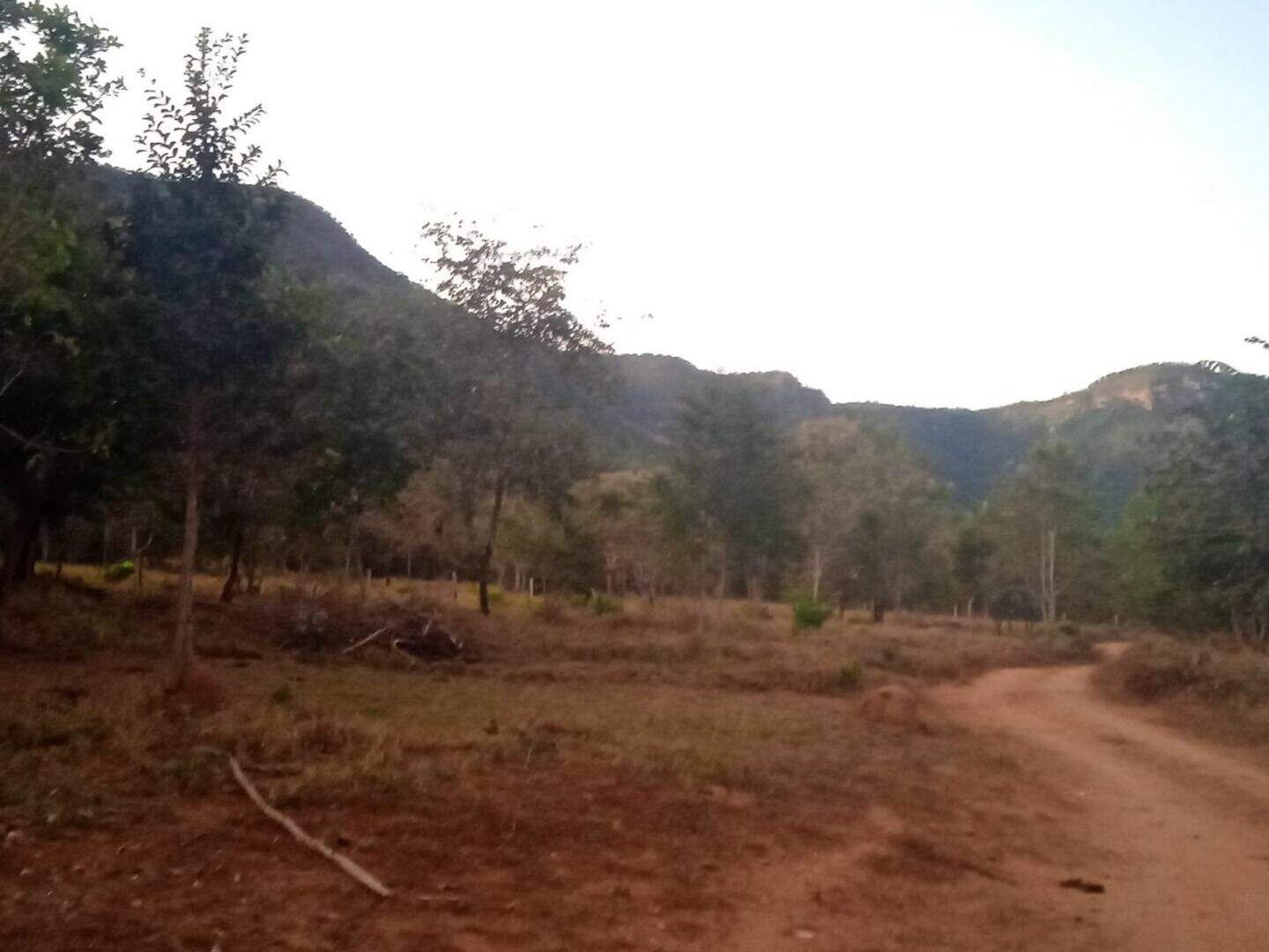 Área à venda no Plano Diretor Norte: 