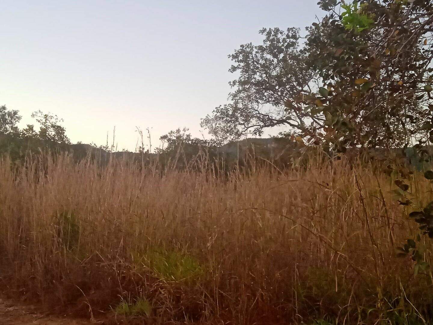 Área à venda no Plano Diretor Norte: 