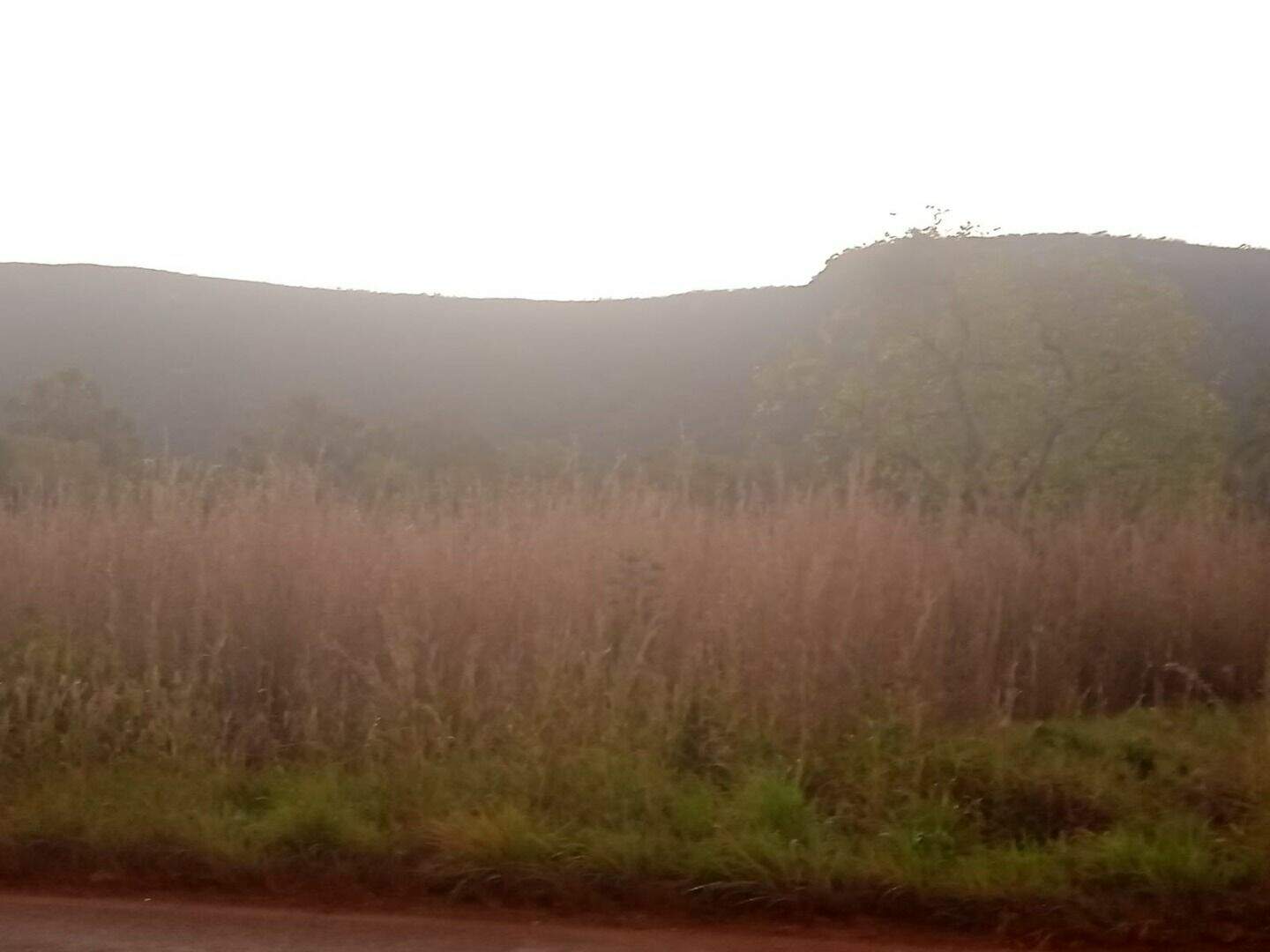 Área à venda no Plano Diretor Norte: 