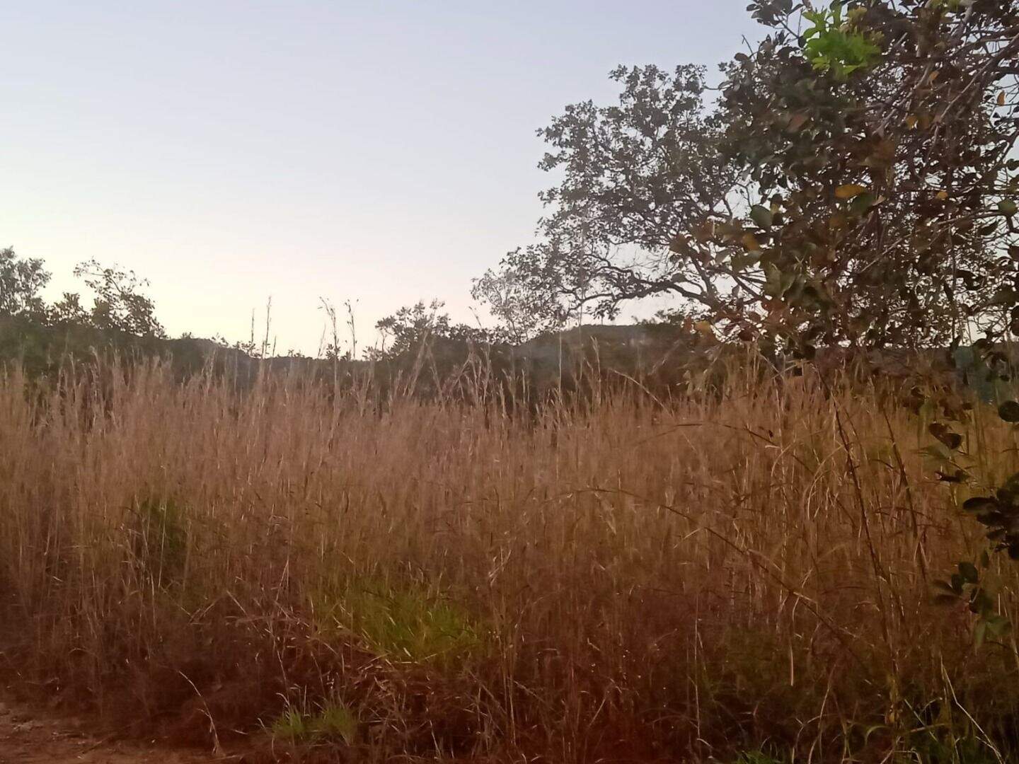 Área à venda no Plano Diretor Norte: 