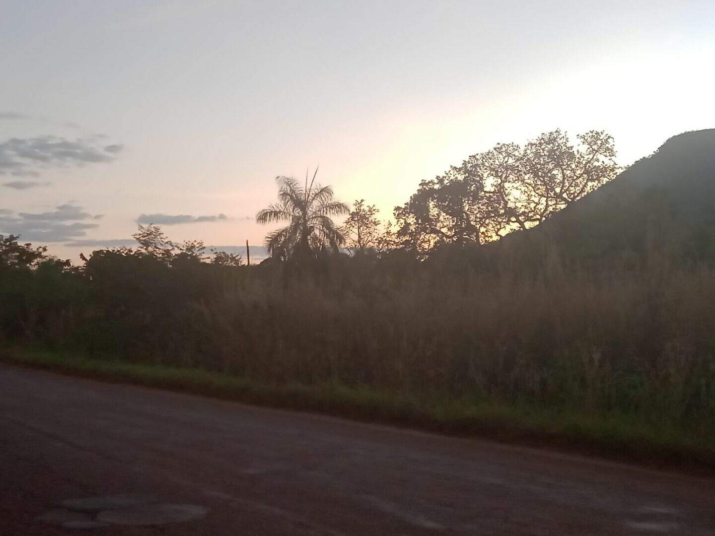 Área à venda no Plano Diretor Norte: 