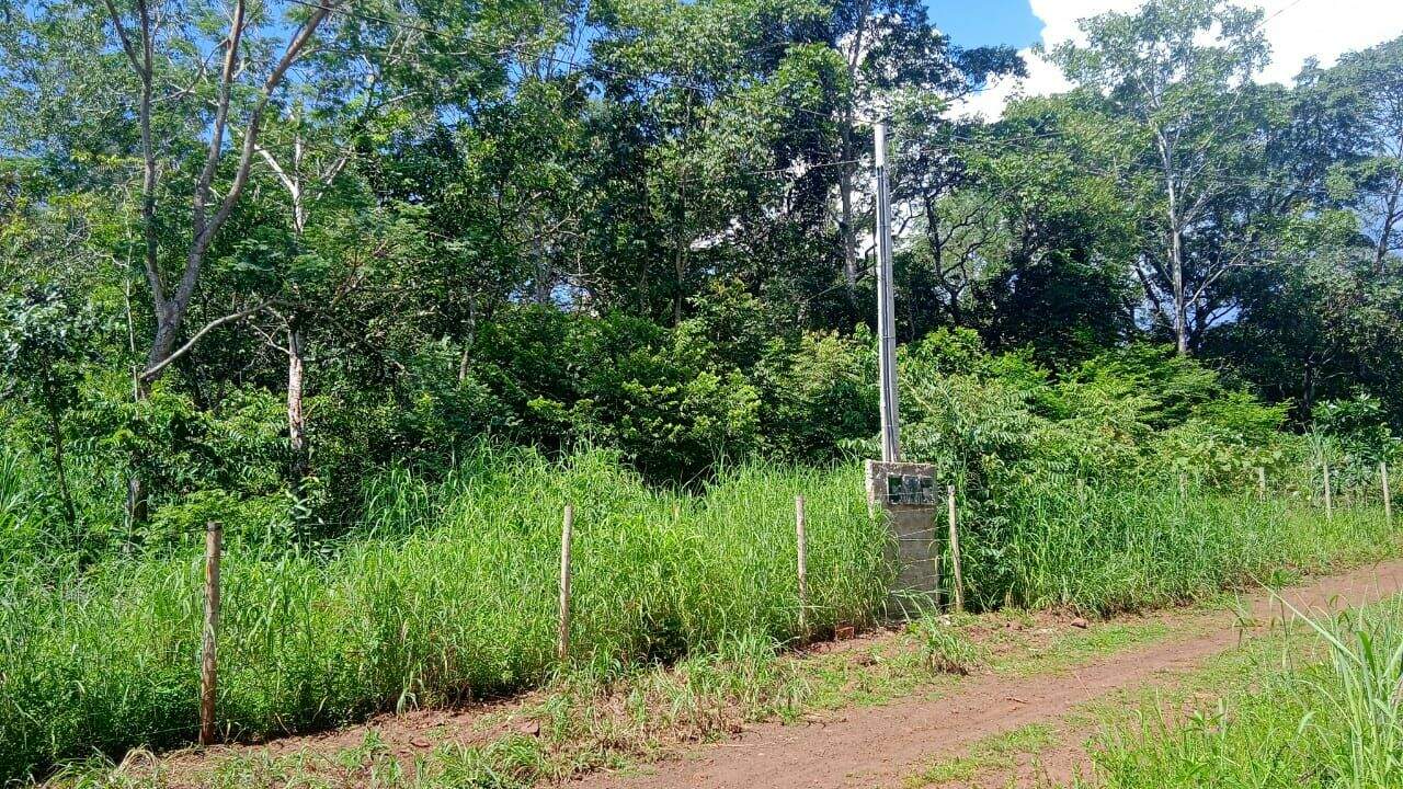 Área à venda no Plano Diretor Sul: 