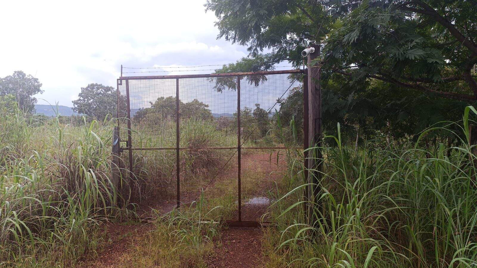Área à venda no Plano Diretor Norte: 