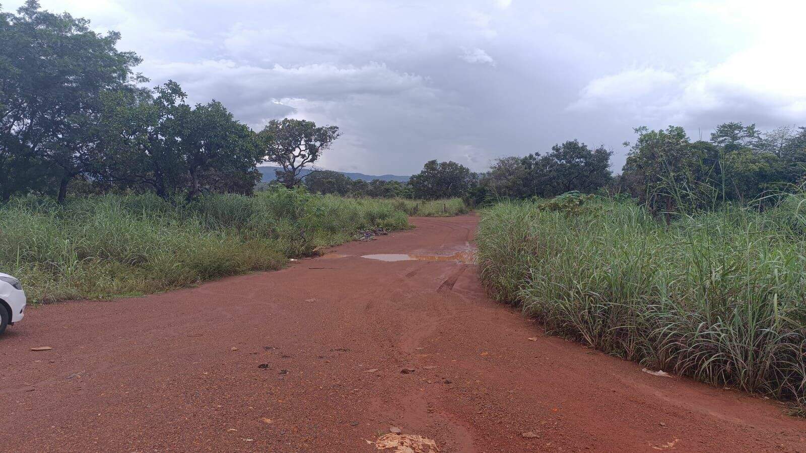 Área à venda no Plano Diretor Norte: 