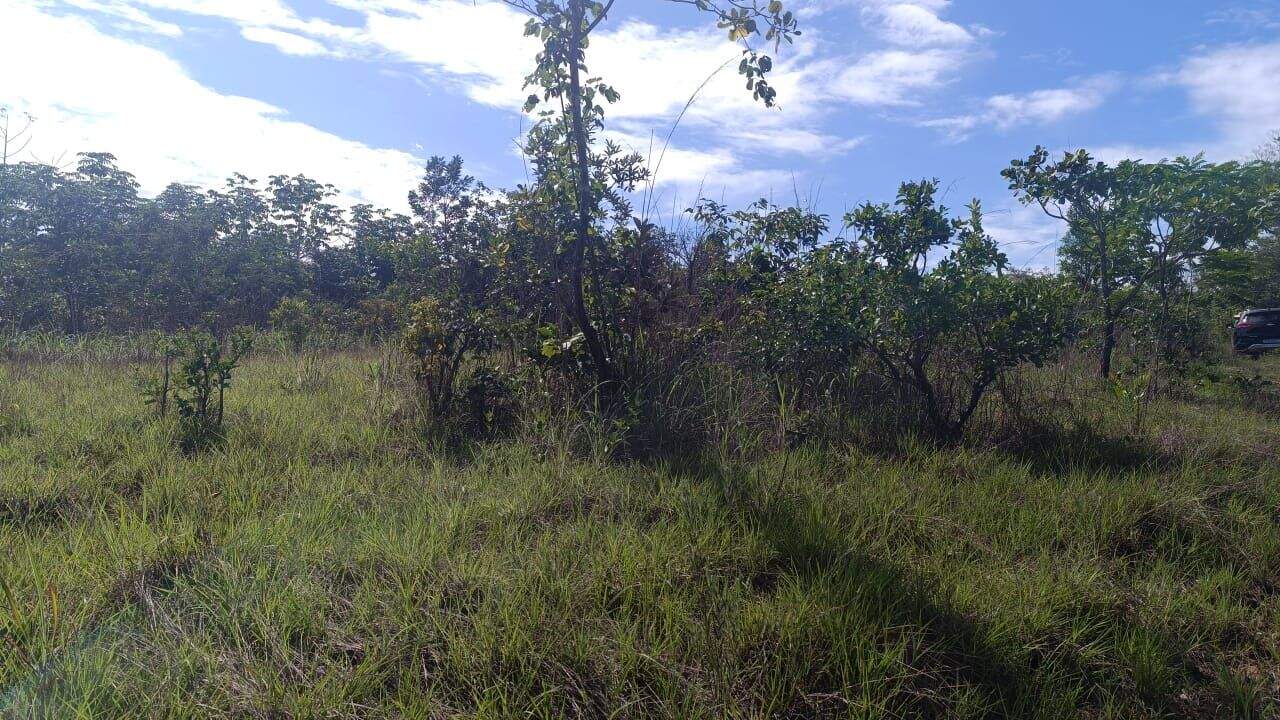 Área à venda no Plano Diretor Norte: 