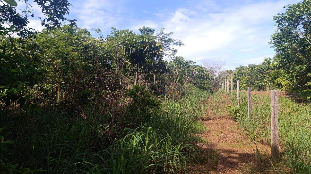 Área à venda no Plano Diretor Norte: 