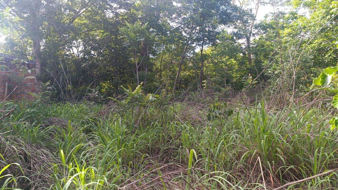Área à venda no Plano Diretor Norte: 