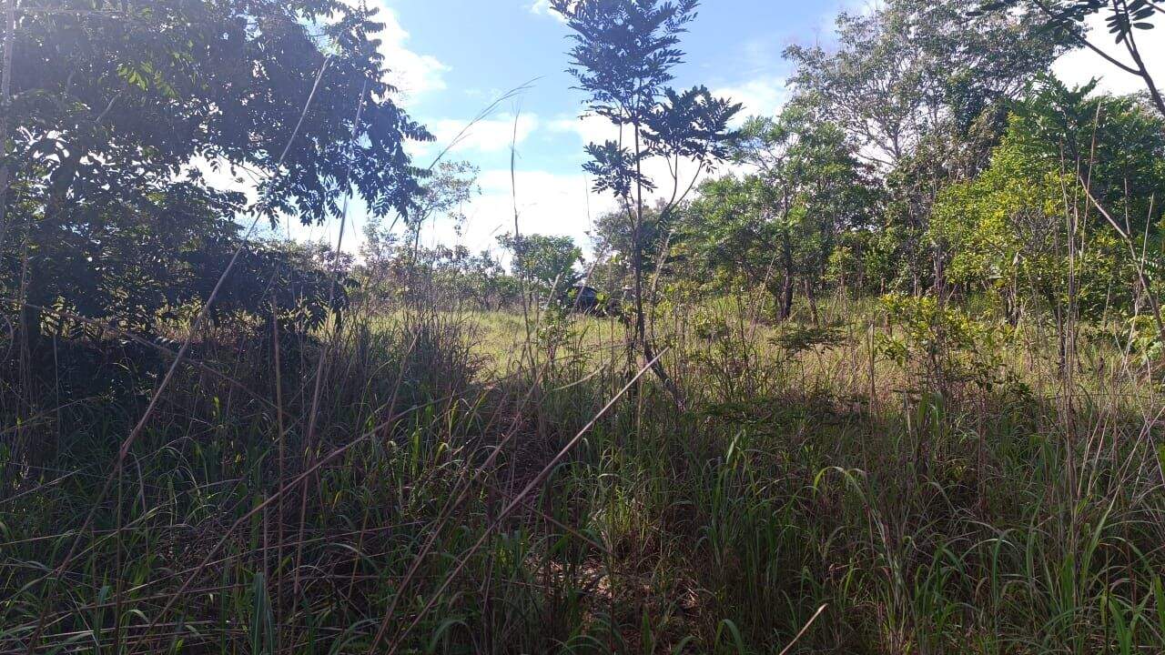 Área à venda no Plano Diretor Norte: 