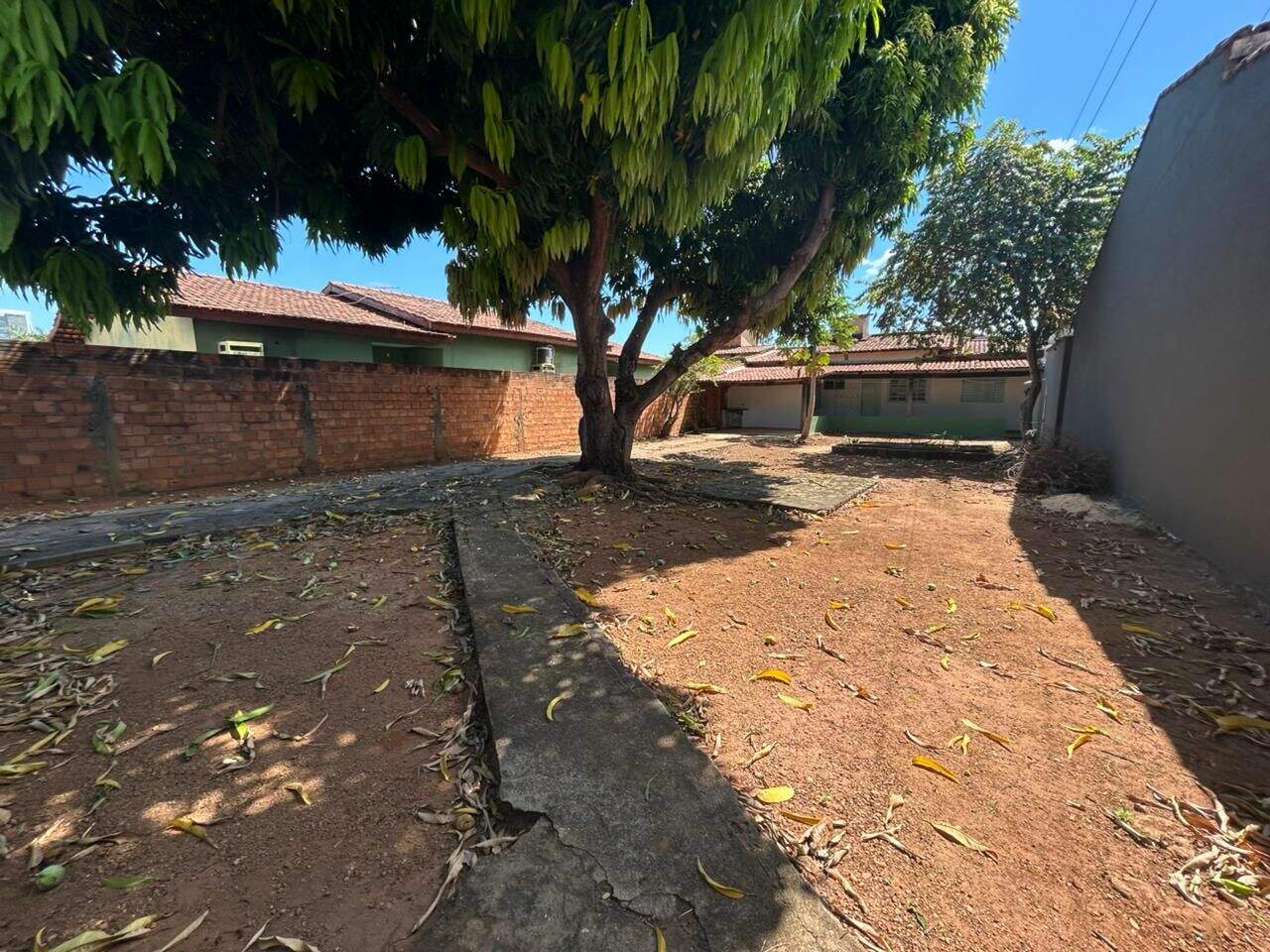 Casa para aluguel no Plano Diretor Norte: 