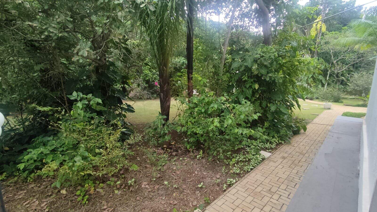 Chácara à venda no Plano Diretor Norte: 