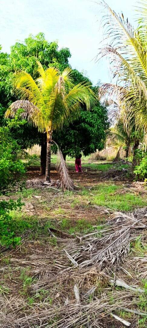 Chácara à venda no Jardim Brasilia: 
