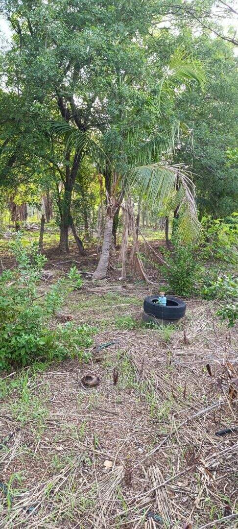 Chácara à venda no Jardim Brasilia: 