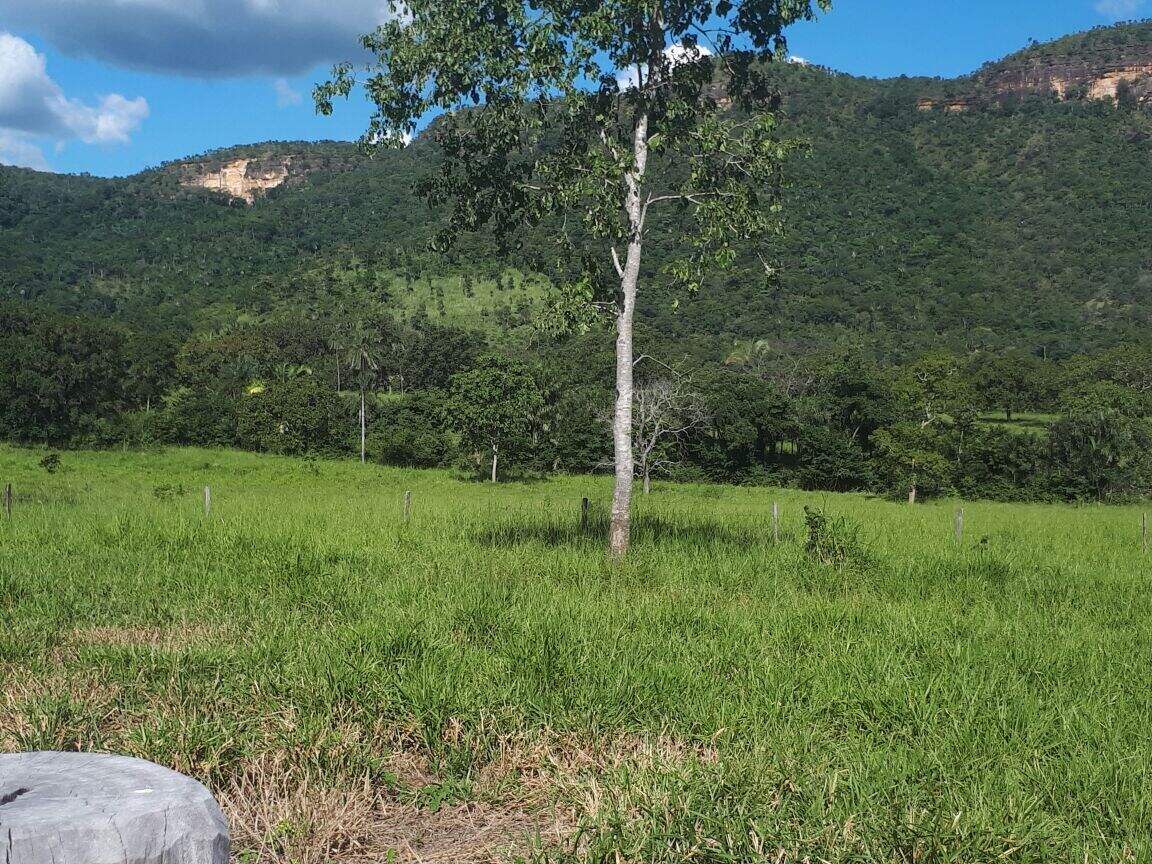 Fazenda à venda no Área Rural de Palmas: 
