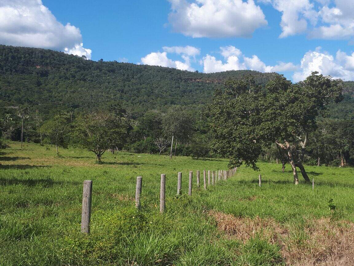 Fazenda à venda no Área Rural de Palmas: 