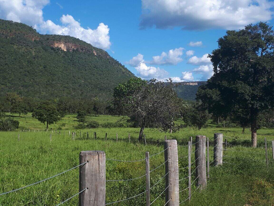 Fazenda à venda no Área Rural de Palmas: 
