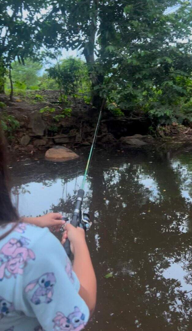 Fazenda à venda no Centro: 