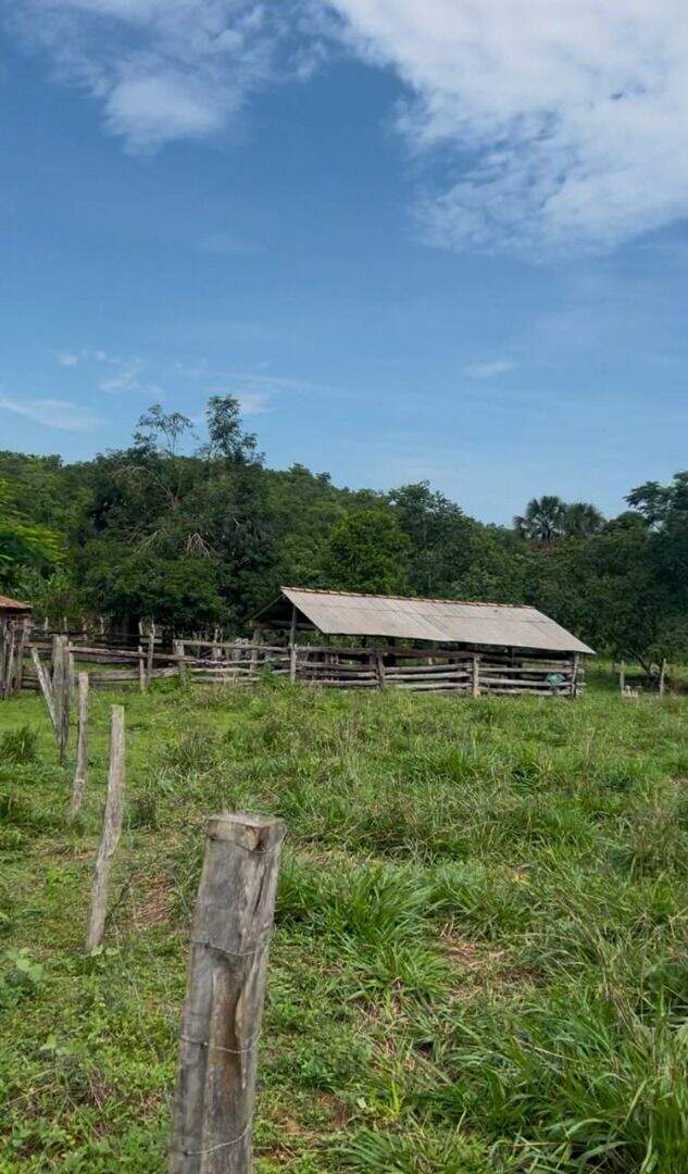 Fazenda à venda no Centro: 