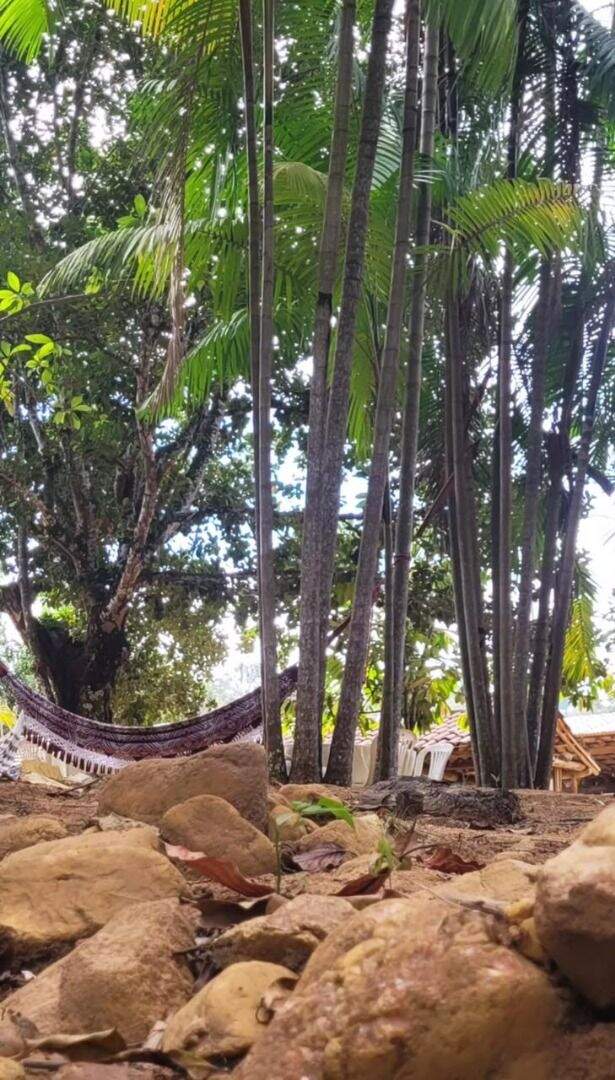 Fazenda à venda no Centro: 