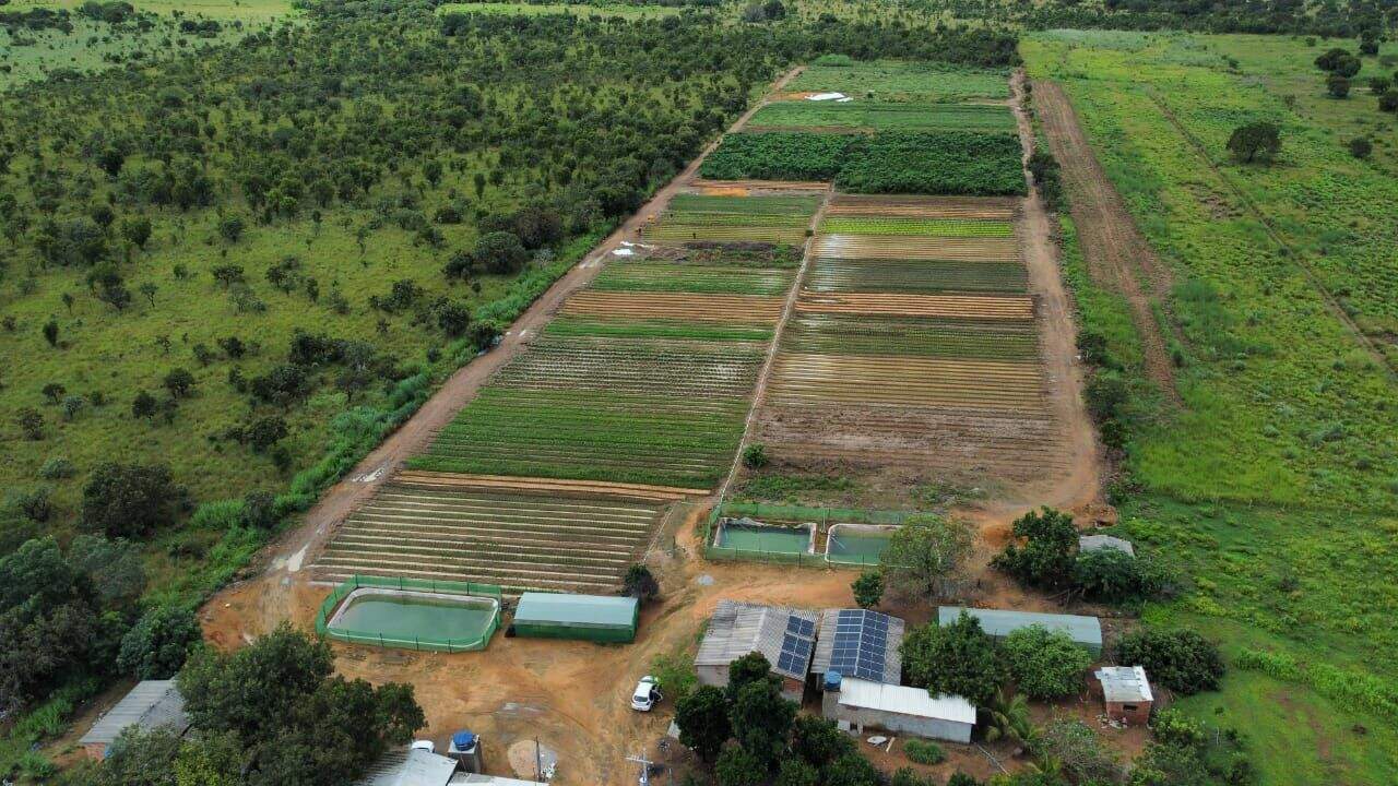 Sítio à venda no Rural: 