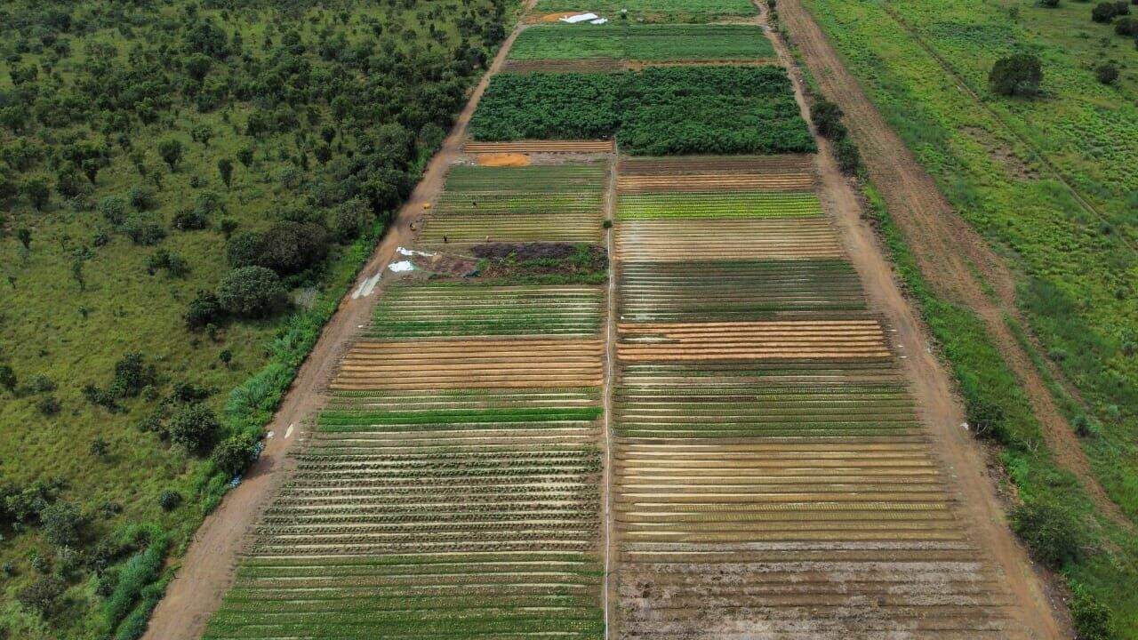 Sítio à venda no Rural: 