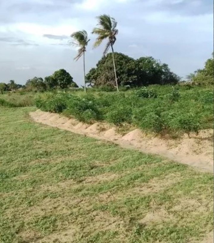 Sítio à venda, POVOADO GANDÚ II - Itabaiana/SE - Foto 5