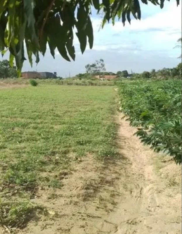 Sítio à venda, POVOADO GANDÚ II - Itabaiana/SE - Foto 7