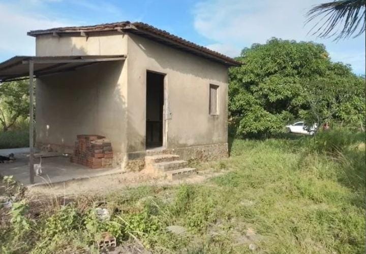 Sítio à venda, POVOADO GANDÚ II - Itabaiana/SE - Foto 6