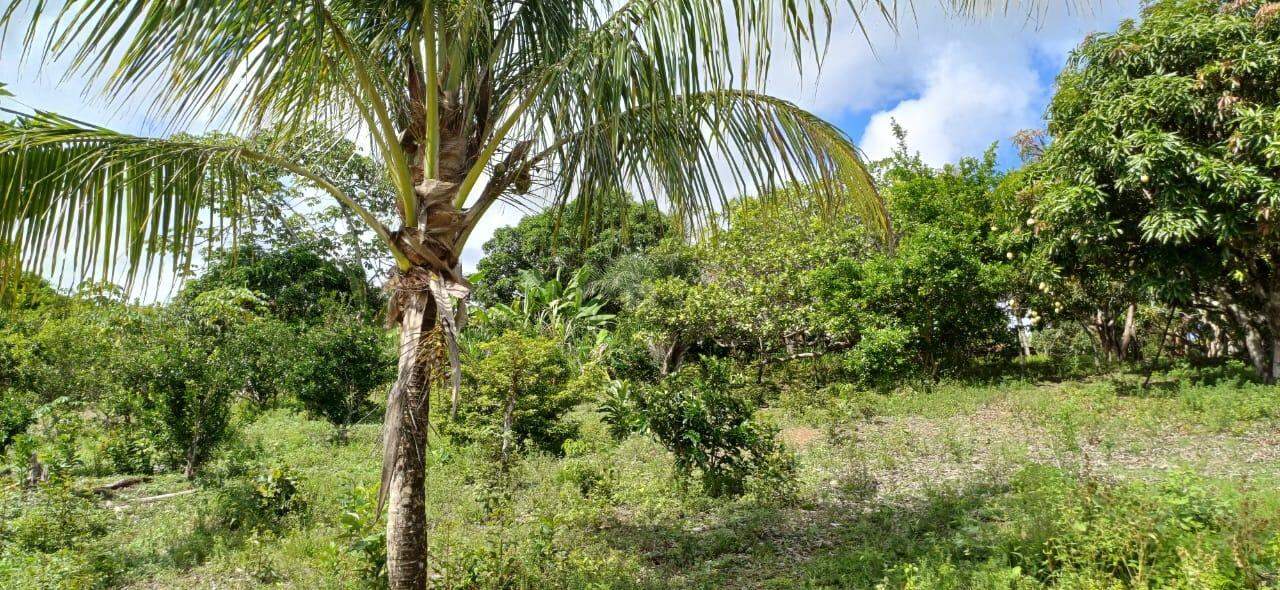 Sitio em São Cristovao - Foto 18