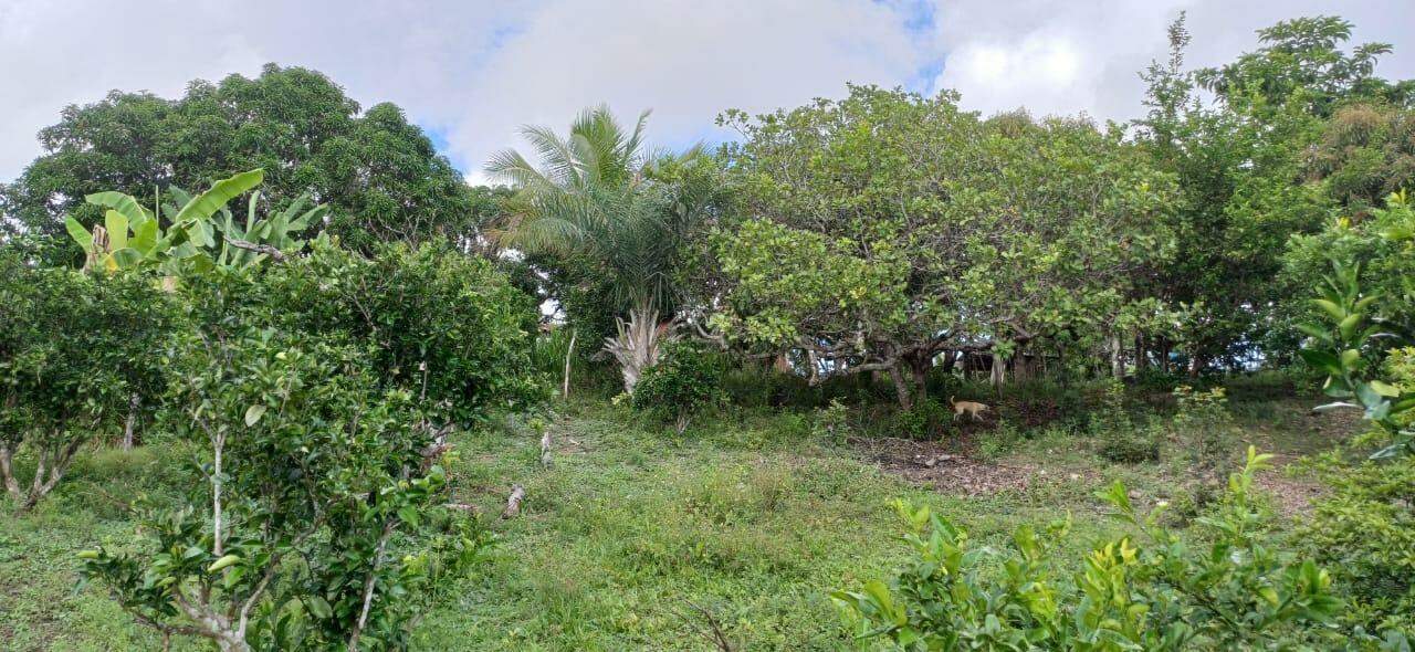 Sitio em São Cristovao - Foto 16