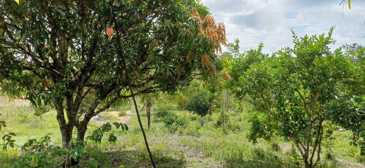 Sitio em São Cristovao - Foto 15