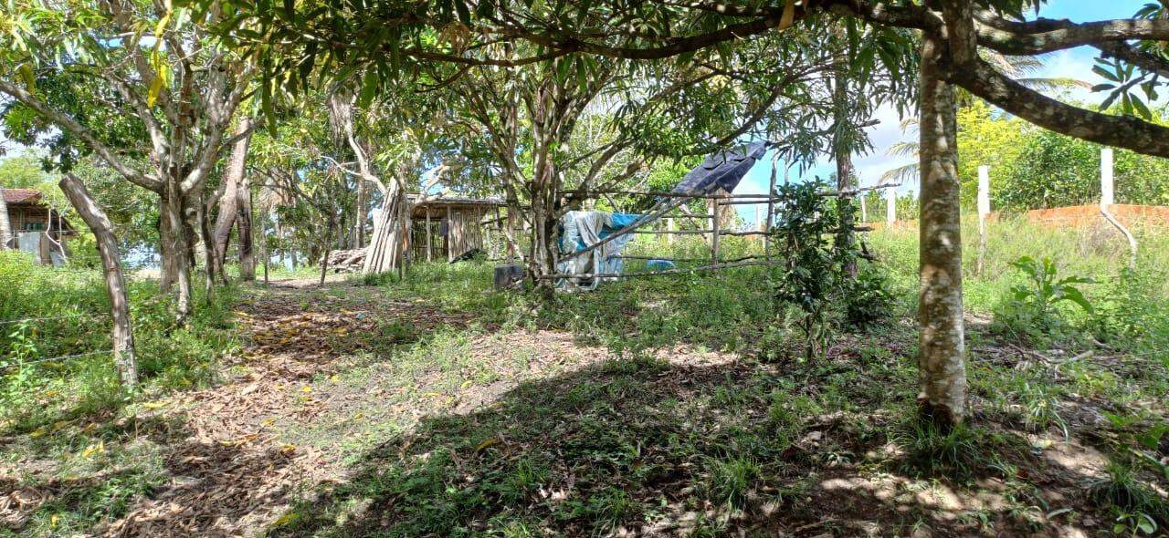 Sitio em São Cristovao - Foto 17