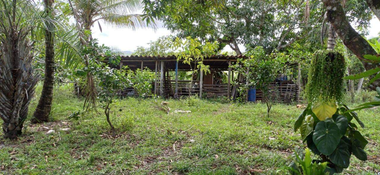 Sitio em São Cristovao - Foto 13