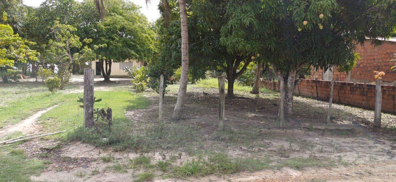 Sitio em São Cristovao - Foto 3