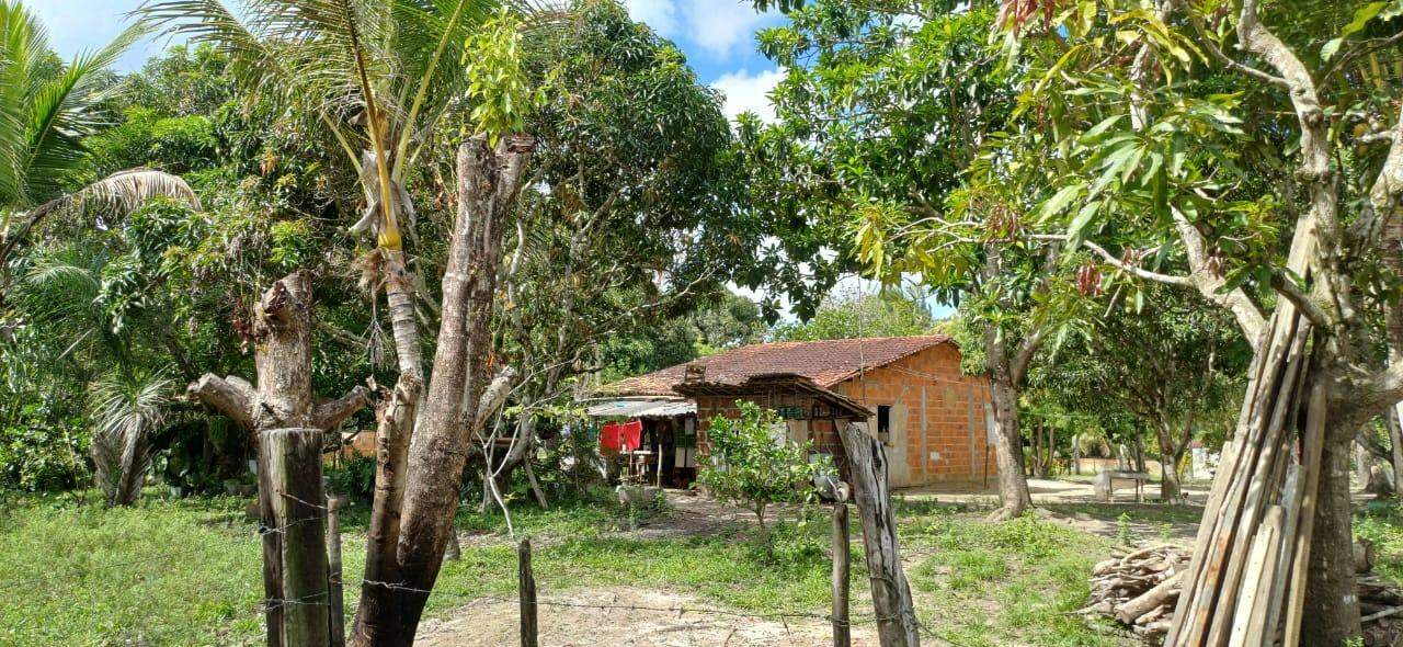 Sitio em São Cristovao - Foto 12