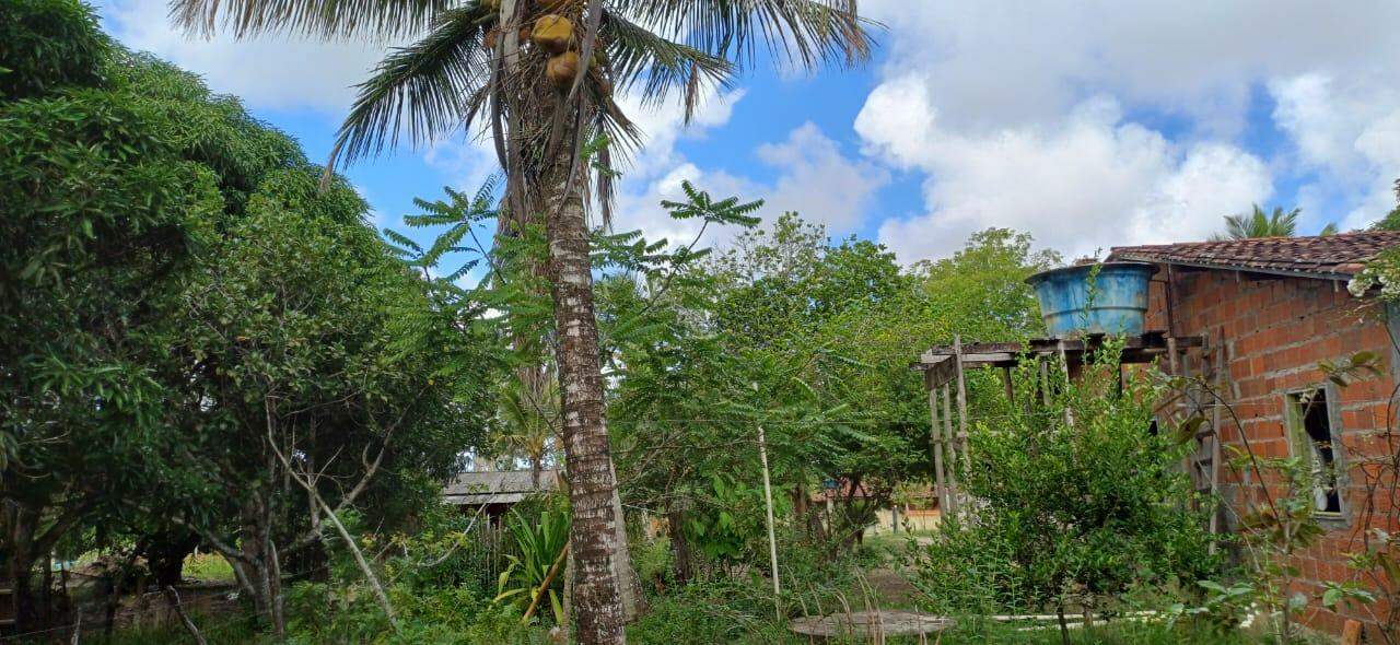 Sitio em São Cristovao - Foto 14