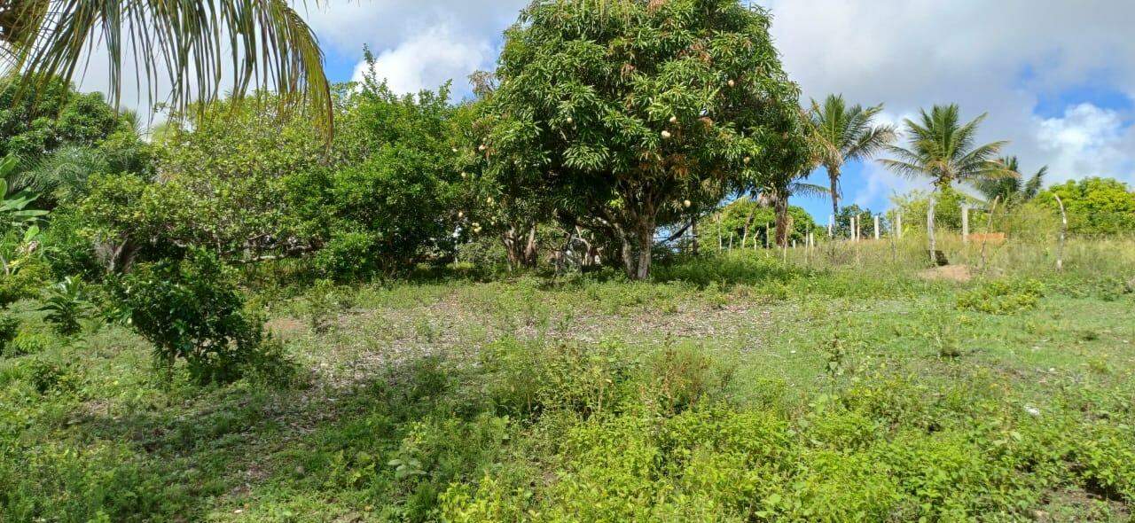 Sitio em São Cristovao - Foto 20