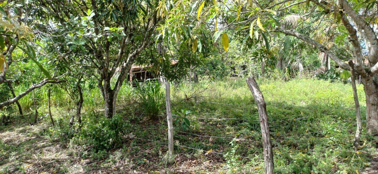 Sitio em São Cristovao - Foto 21