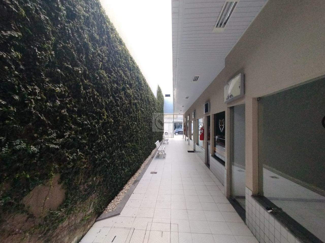 Impulsione Seu Negócio para o Próximo Nível! - Foto 2