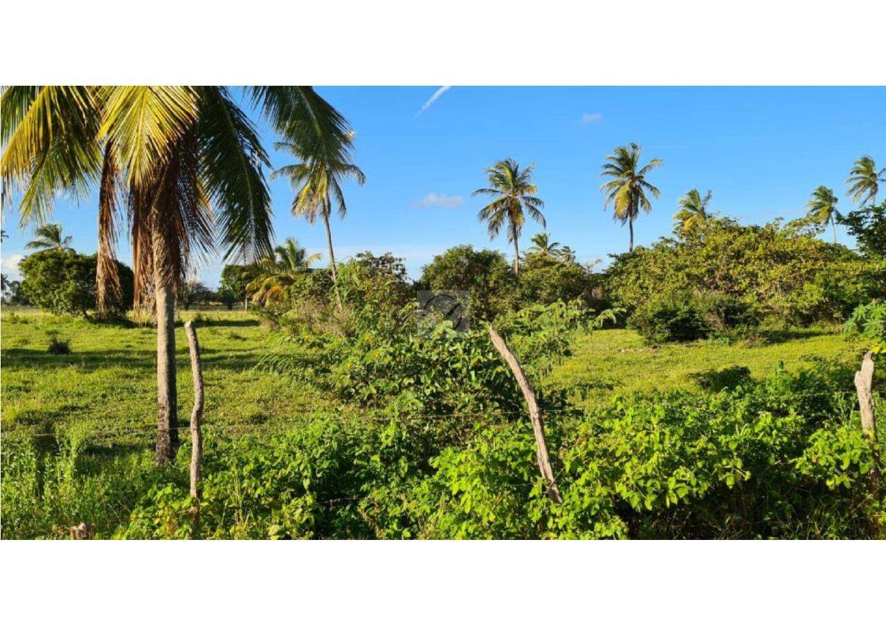 Oportunidade de Investimento: Área no Robalo, Aracaju! - Foto 5