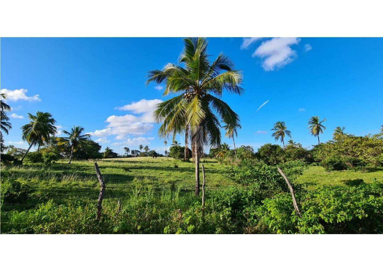 Oportunidade de Investimento: Área no Robalo, Aracaju!