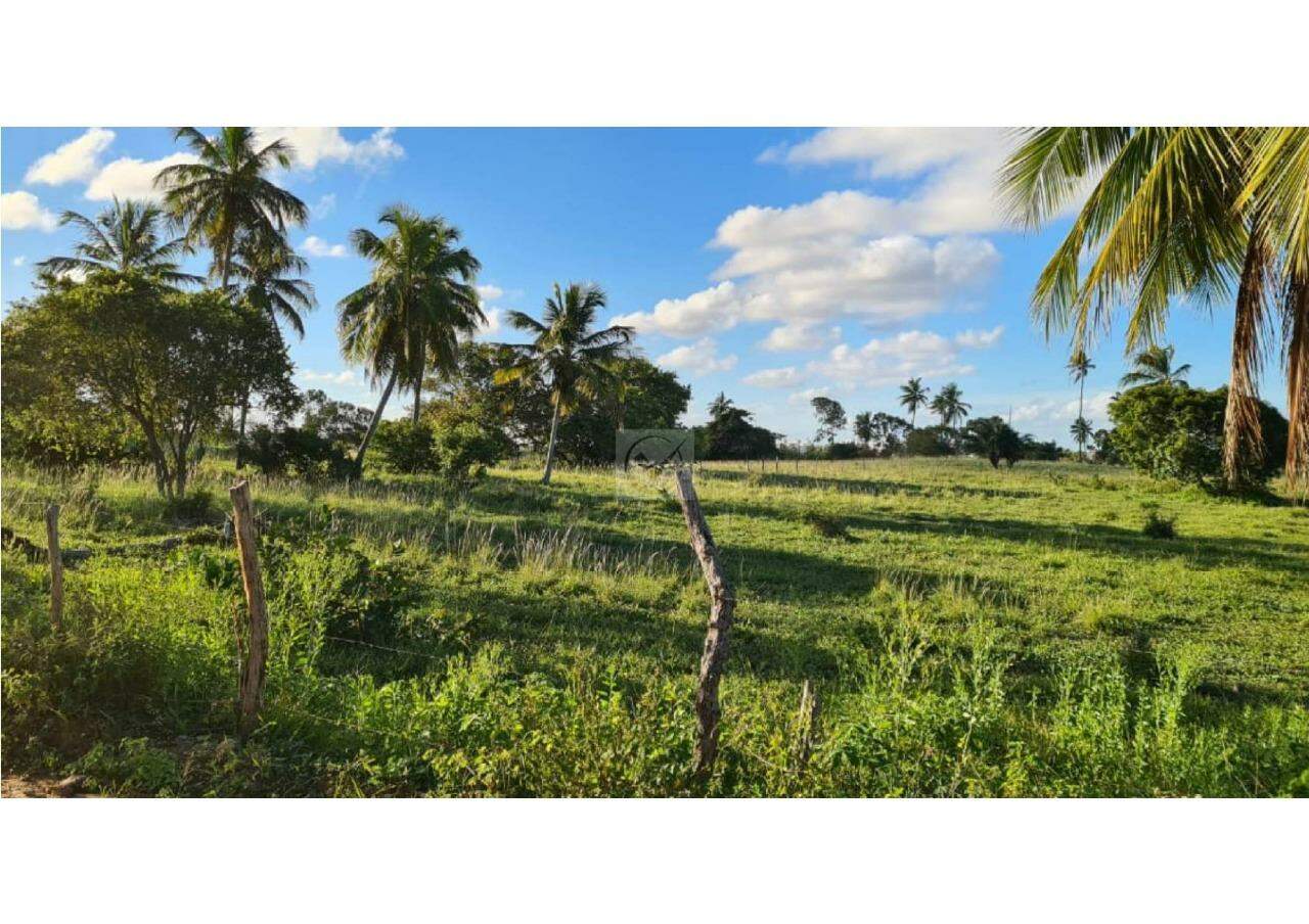 Oportunidade de Investimento: Área no Robalo, Aracaju! - Foto 7