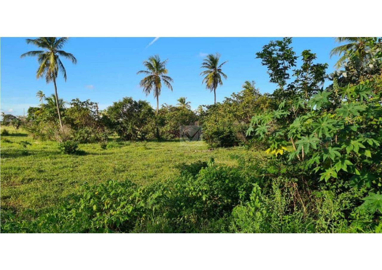 Oportunidade de Investimento: Área no Robalo, Aracaju! - Foto 4