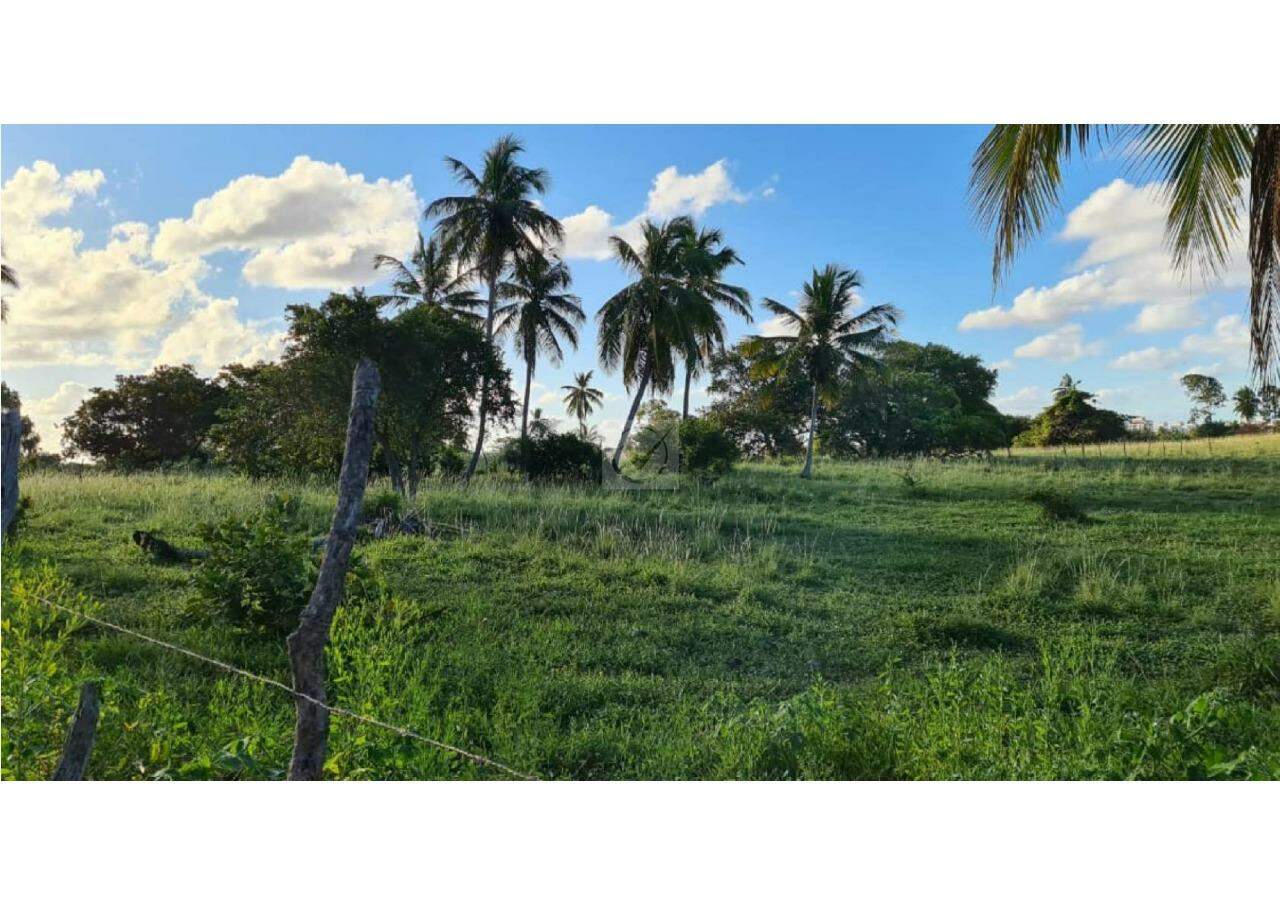 Oportunidade de Investimento: Área no Robalo, Aracaju! - Foto 2