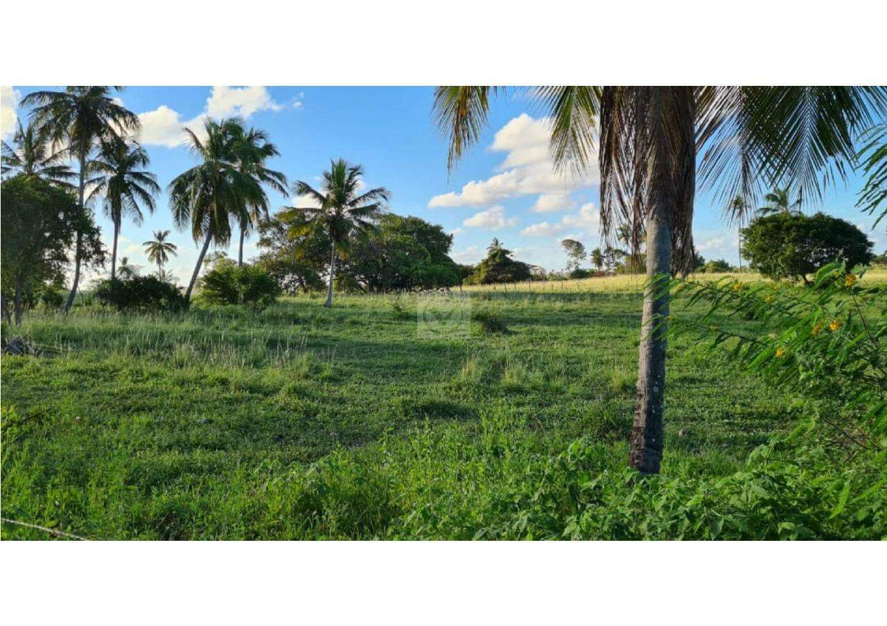 Oportunidade de Investimento: Área no Robalo, Aracaju! - Foto 3