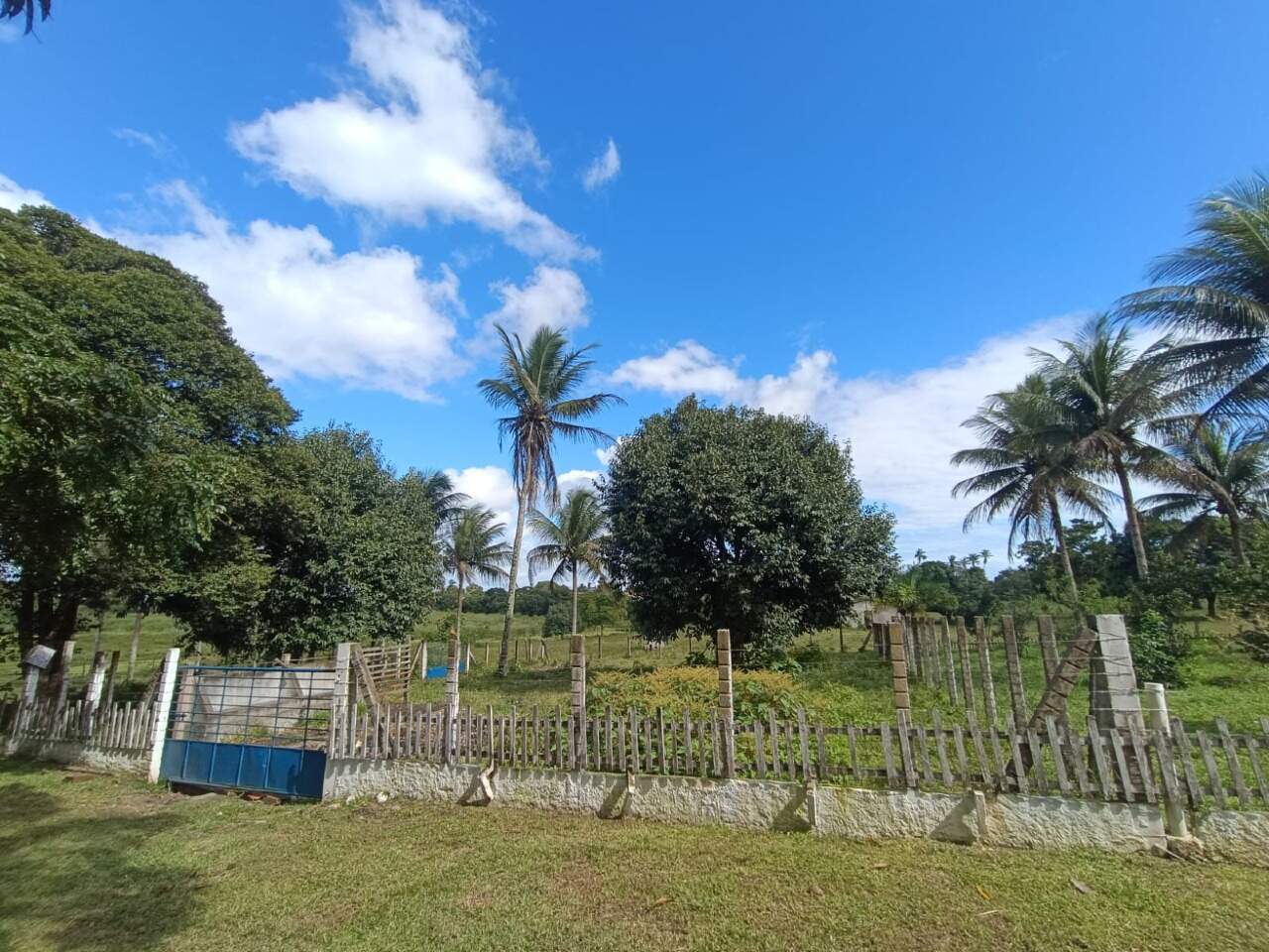 EXCELENTE CHACARA A VENDA EM ITABAIANA - Foto 17