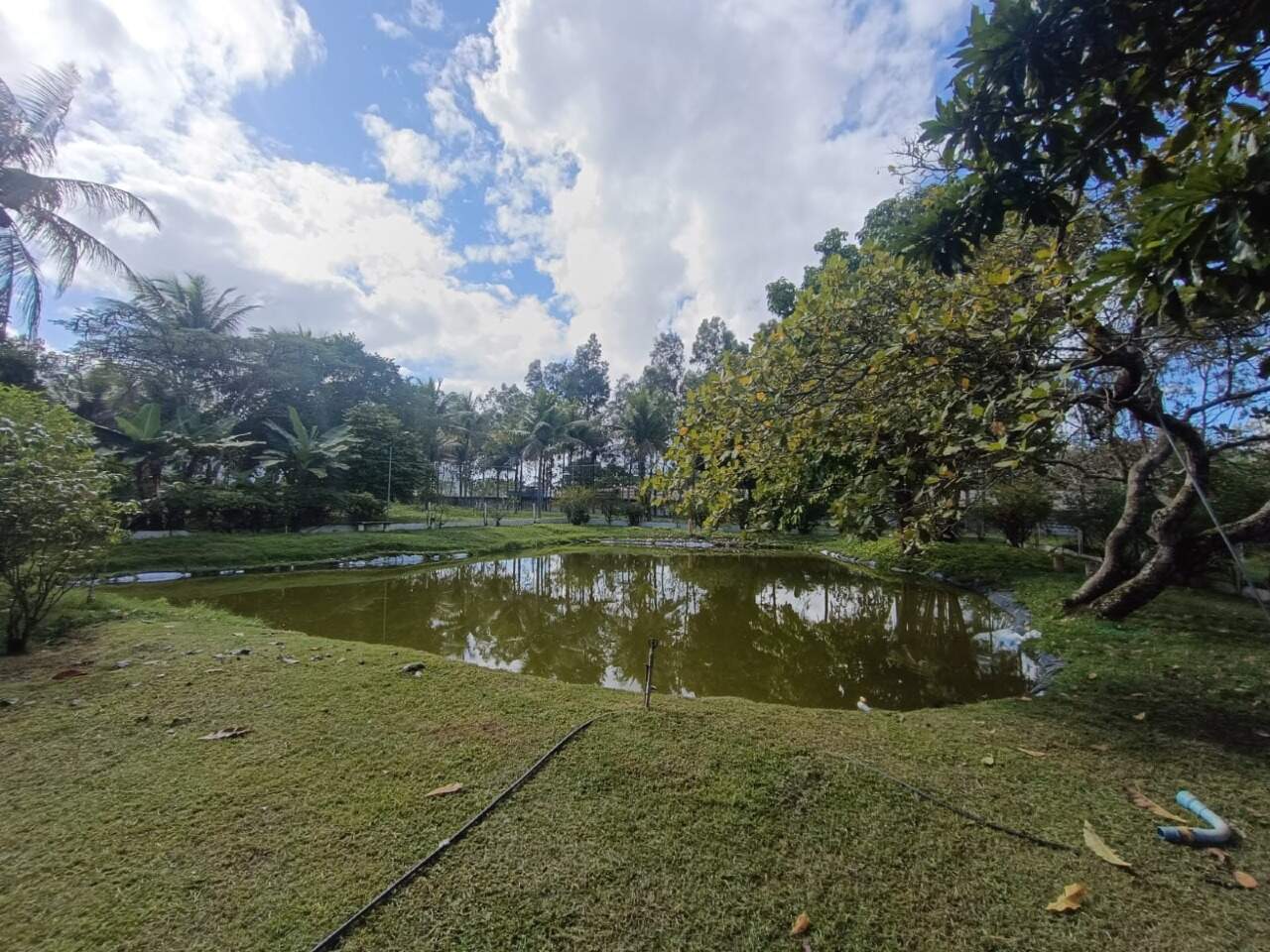 EXCELENTE CHACARA A VENDA EM ITABAIANA - Foto 12