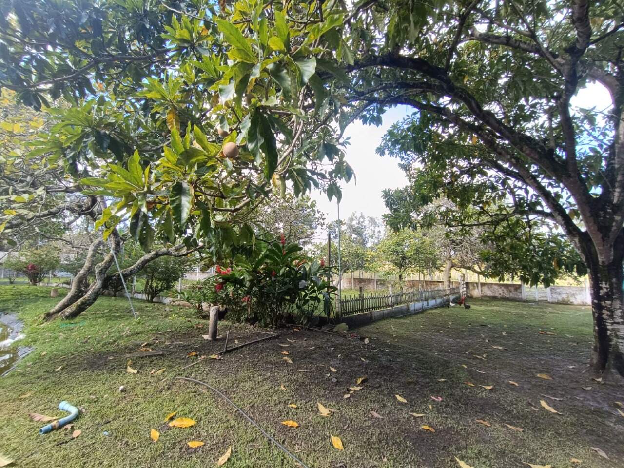 EXCELENTE CHACARA A VENDA EM ITABAIANA - Foto 14