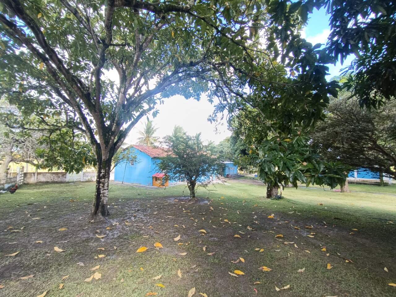 EXCELENTE CHACARA A VENDA EM ITABAIANA - Foto 5